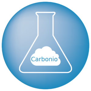 Carbonio elementare e Carbonio organico